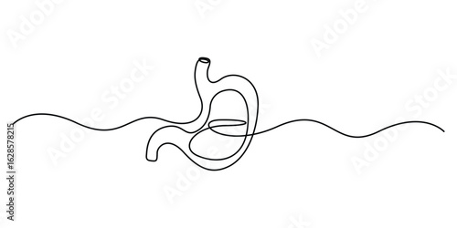 Continuous one line drawing of human stomach organs. Single line art style of stomach drawing. Illustration of stomachache concept. Doodle vector illustration