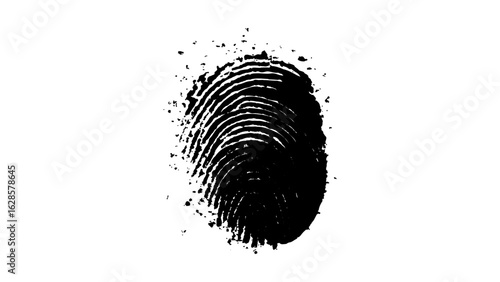 One black fingerprint on white background. human fingerprint on a clean white background. Simple and clear biometric design with ample caption space for identity, security. 