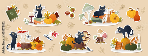 Set of autumn stickers with cute black cats, pumpkins, books, mushrooms. Cozy Halloween illustrations in flat vector style for seasonal decor, planner, scrapbooking Cartoon black kitty characters