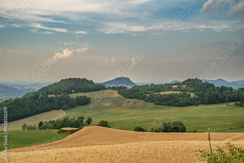 Fototapeta Naklejka Na Ścianę i Meble -  Typical summer landscape of the Bologna Apennines, between Loiano and Monterenzio; in the middle Monte delle Formiche (Mount of the Ants); Metropolitan City of Bologna, Emilia-Romagna, Italy.