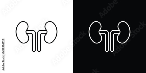 Kidney icon vector illustration sign symbol. linear design