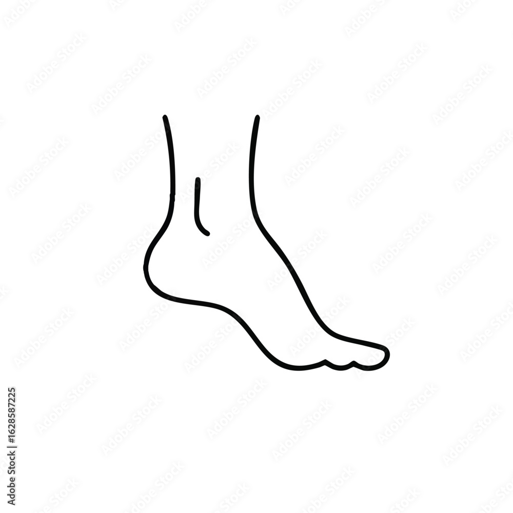 A simple line drawing illustrates a human foot, showcasing the anatomy of the toes, arch, and heel in a minimalist style, perfect for medical or health visuals. A simple line drawing illustrates a human foot, showcasing the anatomy of the toes, arch, and heel in a minimalist style, perfect for medical or health visuals.
