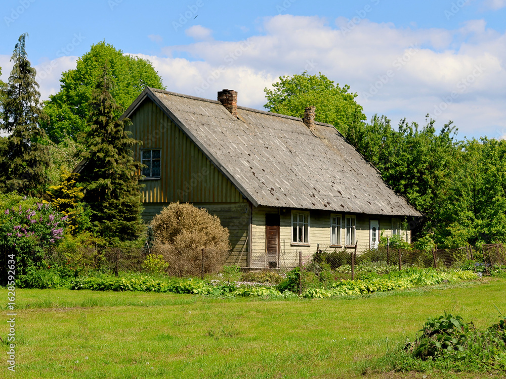 Obraz premium Rustic wooden village house with a tin roof and blooming garden, surrounded by lush green trees and a blue sky. 