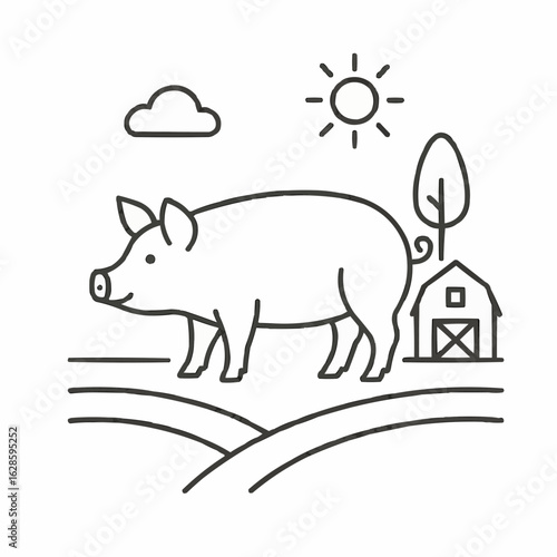 Pig standing on a farm near a barn with sunny weather  