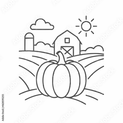 Pumpkin in field with barn and sun in summer landscape  