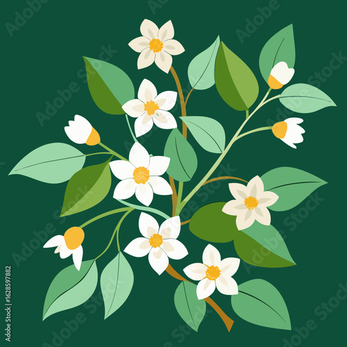 Stylized illustration of white jasmine flowers with green leaves and buds on a deep green background