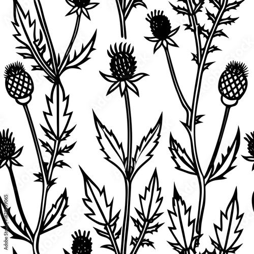 Seamless pattern of black and white thistle flowers and leaves in a stylized graphic design