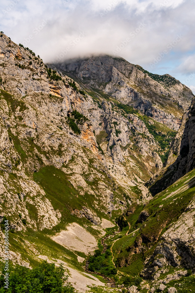 Obraz premium Paisaje en Bulnes, Picos de Europa.