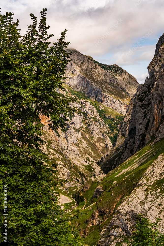 Obraz premium Paisaje en Bulnes, Picos de Europa.