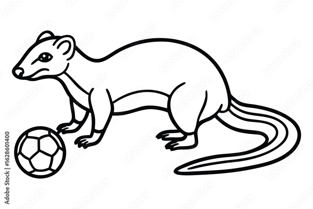 Fototapeta premium A Playful Ermine with a Soccer Ball Cartoon Illustration in Black and White Outlines for Children