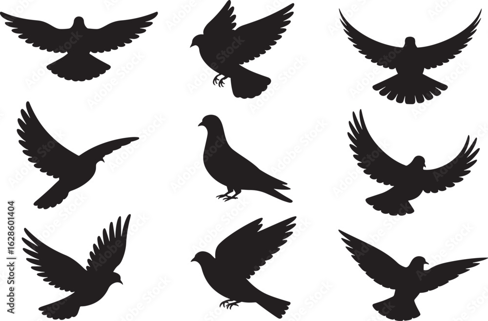 Obraz premium Collection of pigeon silhouettes in flight isolated on transparent background.