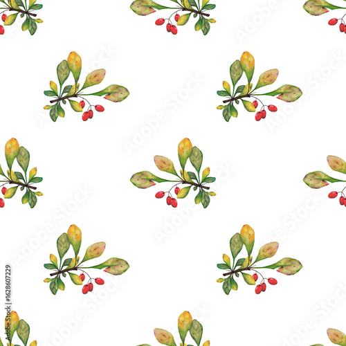Wallpaper Mural Seamless pattern of watercolor autumn branches with colorful leaves and red berries on a transparent background. Perfect for seasonal textile prints, wrapping paper, digital scrapbooking, invitations Torontodigital.ca