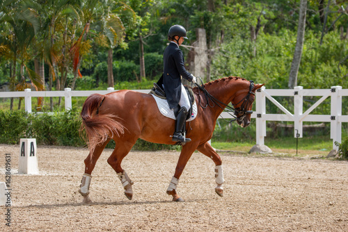Young Female Equestrian Riding Chestnut Horse in Dressage Arena