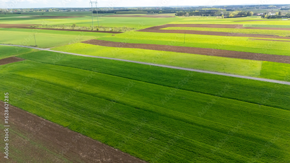 Fototapeta premium Aerial view of lush green fields with varying shades of green, demarcated agricultural land, and a dirt road. This scenic landscape depicts rural farming in spring.