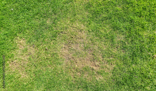 Aerial view of green grass with patches showing uneven growth. The vibrant greenery contrasts with brown areas, indicating possible drought or damage, suitable for landscaping topics.