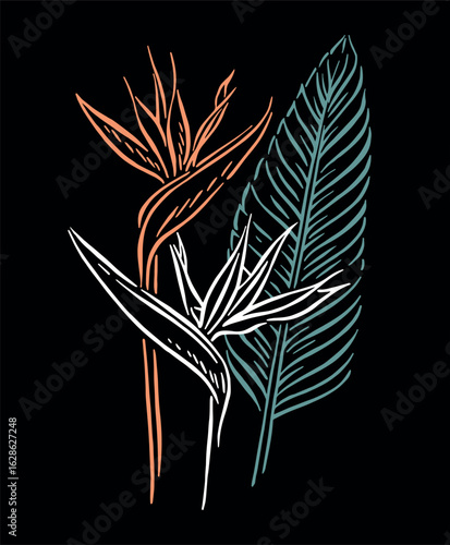 Stylized illustration of tropical flowers. Art depicting the bird of paradise flower in free, uncluttered lines.