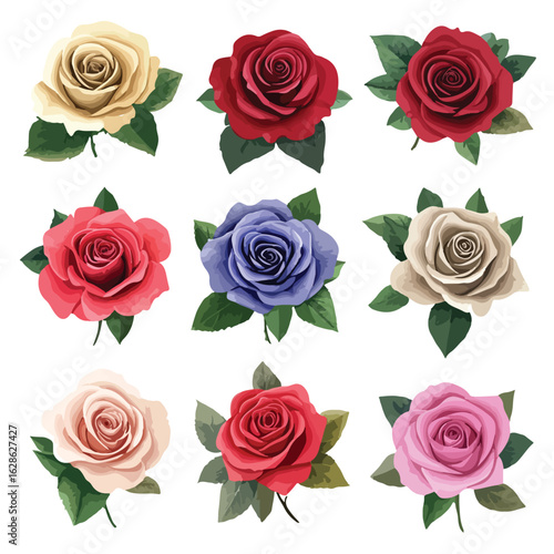 Vibrant Rose Bouquets Collection