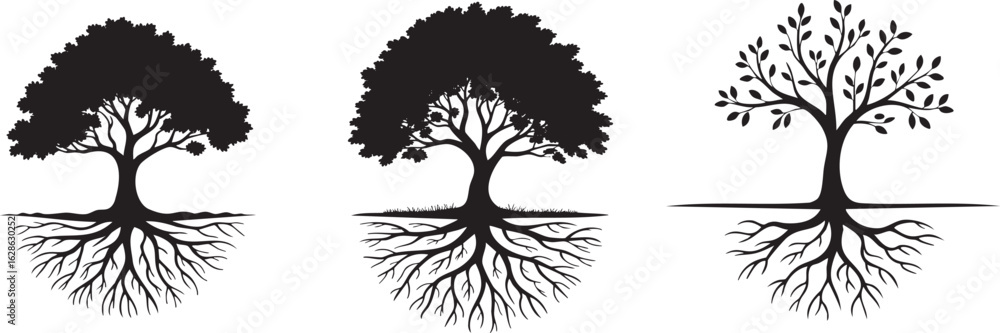 Obraz premium Three Black Tree Silhouettes with Root Systems Depicted in Elegant Vector Illustration Nature and Growth Concepts