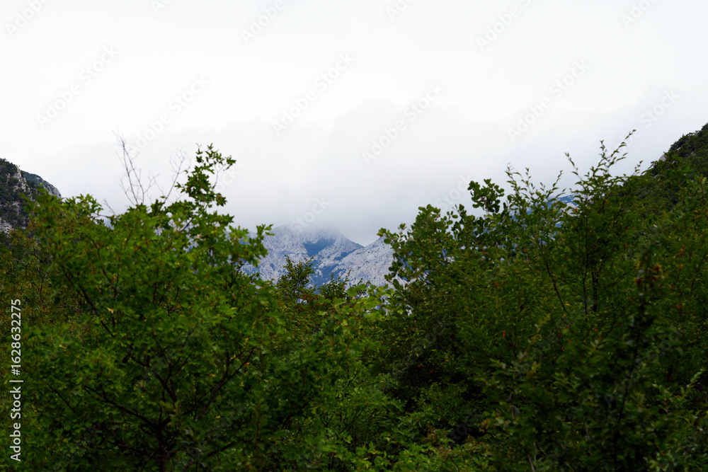 Obraz premium nature on the mountain