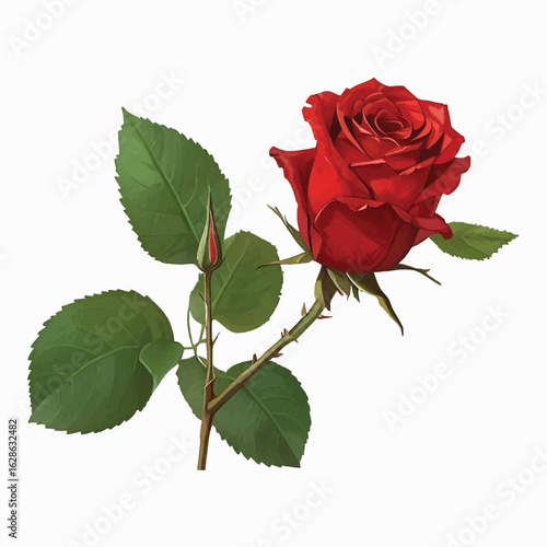 Rose Vector
