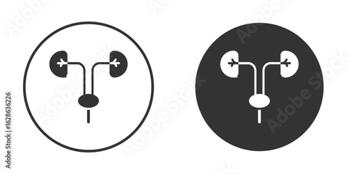 Urology icons pack. vector glyph flat icons