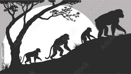 Primate evolution silhouette. Monkey and ape family group climbing a hill. Animal progression and growth in nature.