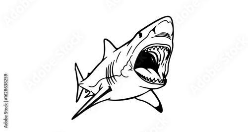 Shark attack illustration predatory sea animal dangerous ocean creature marine life drawing outline vector art