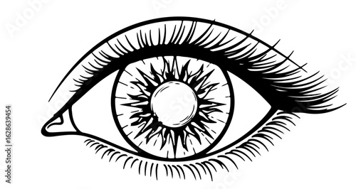 Eye drawing illustration black and white eye art graphic design eye sketch detailed eye with lashes and brow