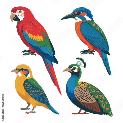 Vector art of a vibrant collection of four colorful tropical birds, including a macaw, kingfisher, and peacock, perched on an imaginary surface, isolated on white background