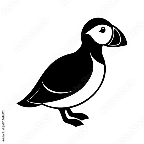 Silhouette a puffin bird with a large beak markings animal