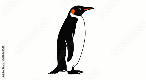 Elegant Emperor penguin vector illustration standing in profile with orange head patches.