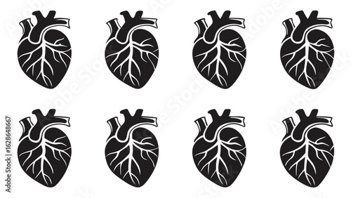 Anatomical Heart Illustrations black white