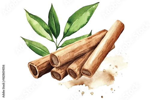 Cinnamon Sticks Watercolor Vector with Leaves and Transparent Background PNG for Culinary Designs