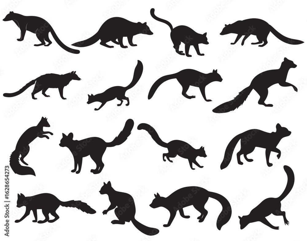 Naklejka premium Dynamic Ringtail Cat Silhouettes in Black and White