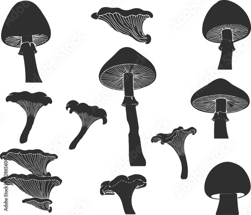 Mushroom vector silhouette set	