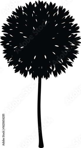 black silhouette allium on white background.eps
