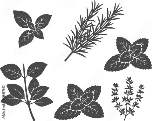 Herb silhouette icon set. mint, basil, rosemary, sage, thyme 