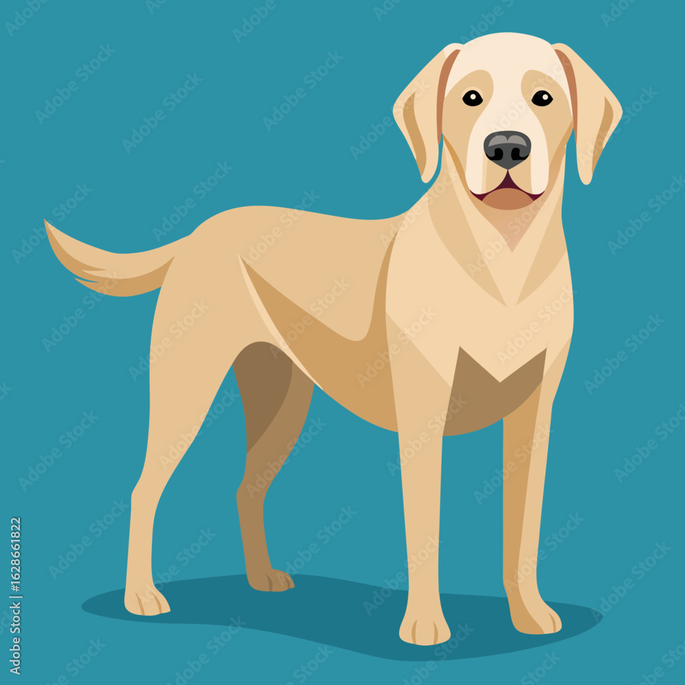 Flat design illustration of a friendly yellow labrador retriever standing Flat design illustration of a friendly yellow labrador retriever standing