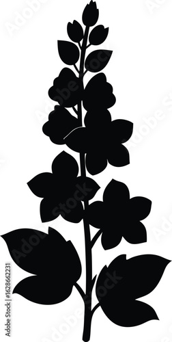 black silhouette delphinium on white background.eps