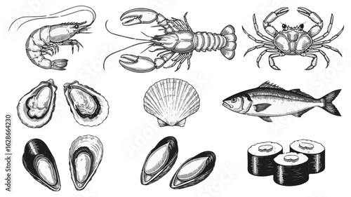 Black and white illustration of various seafood and sushi shrimp lobster