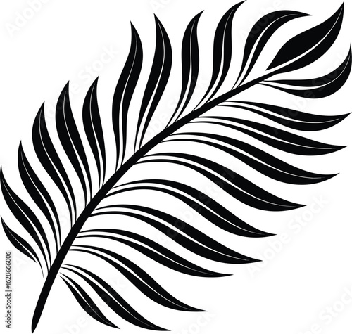 Black palm frond with flowing leaves white vector