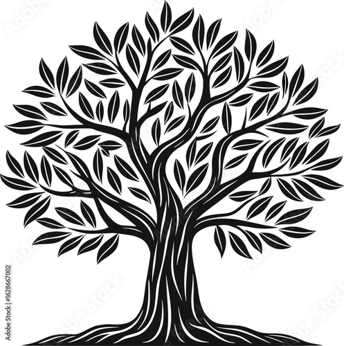 Twisted olive tree black silhouette twisted branches