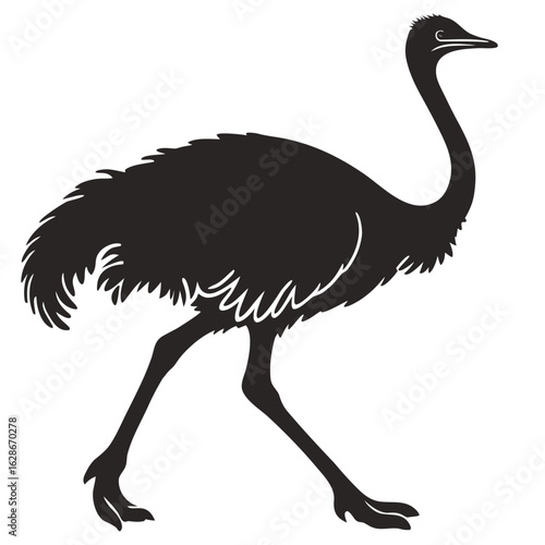 Ostrich silhouette walking isolated on white background