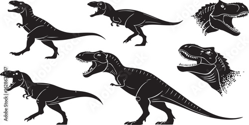 dinosors silhouette collection set of dinosors illustrations on white background