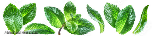 Photography Set of juicy ripe mint leaves with mint top isolated on transparent background