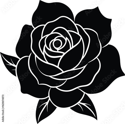 english rose on white background.eps