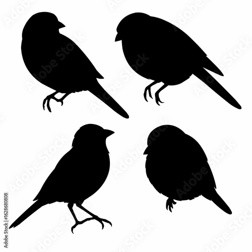 Bluebirds birds small thrush silhouette on a white background set of four vintage vector illustration editable stock