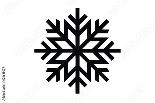 snowflake vector icon