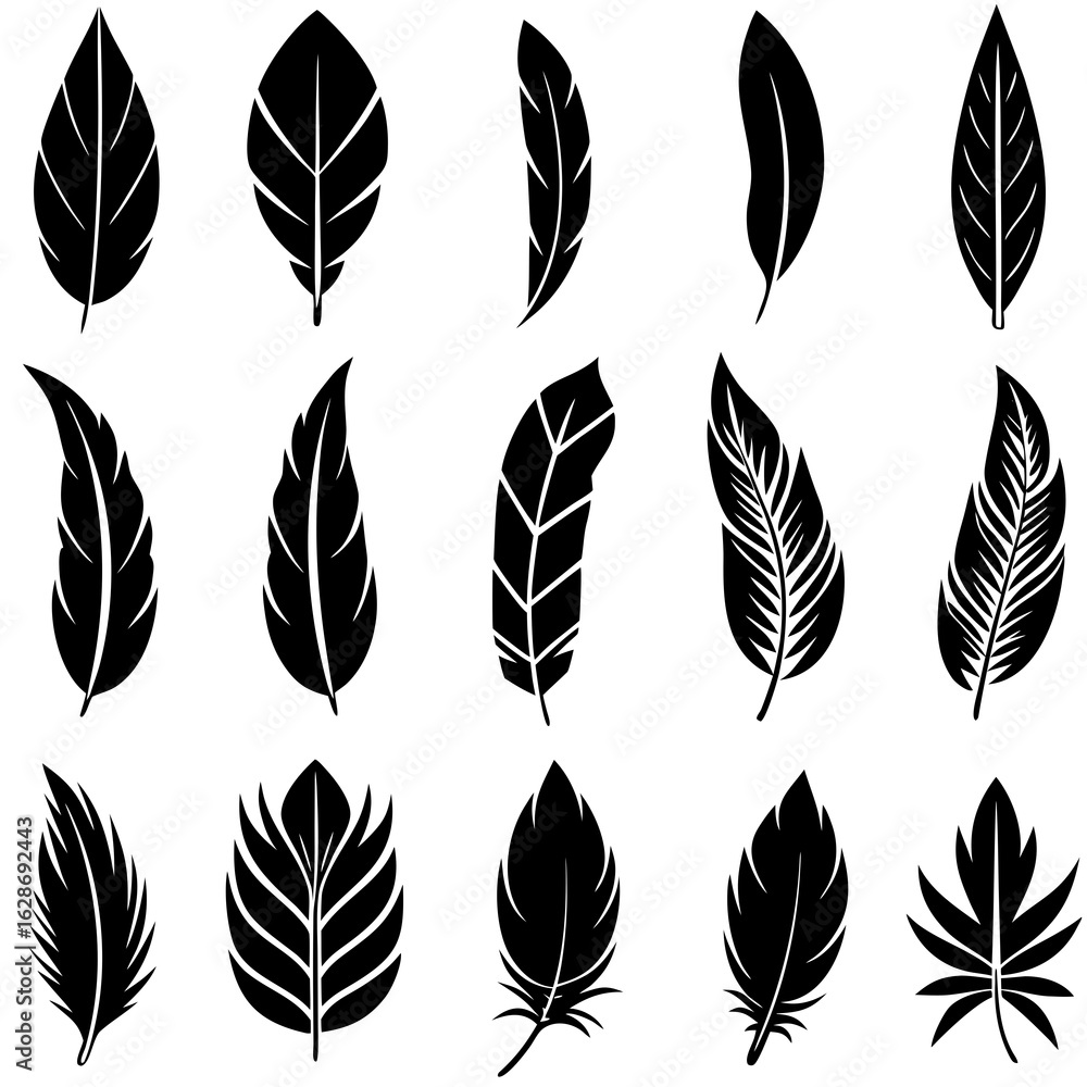 Fototapeta premium Assortment of Black Feather Silhouettes on White Background feathers