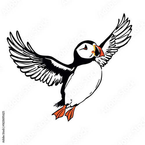 Vsai atlantic puffin flying with open wings and orange beak